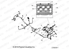 ELECTRICAL | ELECTRICAL, WIRE HARNESS - Z19VFK99LK (C700330-1)