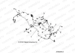 ELECTRICAL | ELECTRICAL, WIRE HARNESS - Z20ASE99AH/LH (C700299-2)