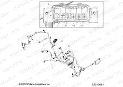 ELECTRICAL | ELECTRICAL, WIRE HARNESS - Z20CHA57A2 (C701048-1)