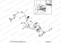 ELECTRICAL | ELECTRICAL, WIRE HARNESS - Z20CHA57K2 (C704031-1)