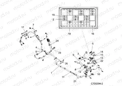 ELECTRICAL | ELECTRICAL, WIRE HARNESS - Z20N4E92BL/BR (C700394-2)