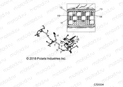 ELECTRICAL | ELECTRICAL, WIRE HARNESS - Z20NAE99AC/AL/AN/BC/BL/BN/R99AZ/BZ (C700304)