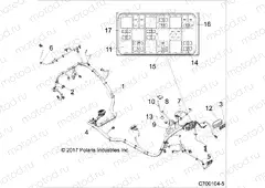 ELECTRICAL | ELECTRICAL, WIRE HARNESS - Z20S1E99NG (C700104-5)