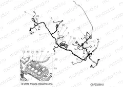 ELECTRICAL | ELECTRICAL, WIRE HARNESSES - D20BBP99A4/B4/FP99A4 (C0703255-2)