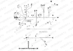 ELECTRICAL | ELECTRICAL, WIRE HARNESSES - R13TH76/7E ALL OPTIONS (49RGRHARNESS12800XP)