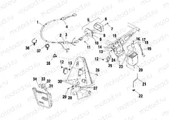 ELECTRICAL/TAILLIGHT - A02CK42AA/AB (4970327032B12) | ELECTRICAL/TAILLIGHT - A02CK42AA/AB (4970327032B12)