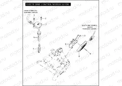 ELECTRONIC CONTROL MODULE & COIL