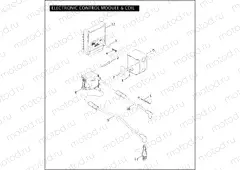 ELECTRONIC CONTROL MODULE & COIL