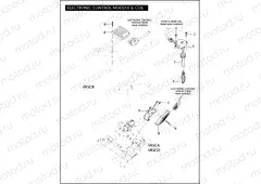 ELECTRONIC CONTROL MODULE & COIL