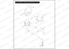 ELECTRONIC CONTROL MODULE & COIL