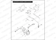 ELECTRONIC CONTROL MODULE & COIL
