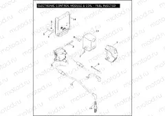 ELECTRONIC CONTROL MODULE & COIL - FUEL INJECTED