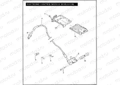 ELECTRONIC CONTROL MODULE (ECM) & COIL