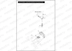 ELECTRONIC CONTROL MODULE (ECM) & COIL