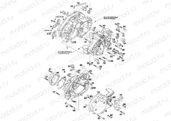 ENGINE CASE
