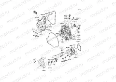 Engine Cover(s)