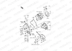 Engine Cover(s)