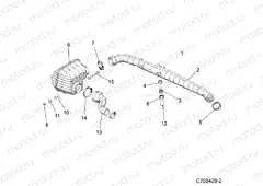 ENGINE | ENGINE, AIR INTAKE, REAR - D19BEPD4B4 (C700429-2)