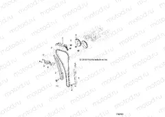 ENGINE | ENGINE, CAM CHAIN AND TENSIONER - Z20N4E99AC/AL/AN/BC/BL/BN/M99AL/K99AF/AK/BF/BK (702468)