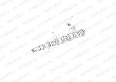 ENGINE | ENGINE, CAMSHAFT, PUSH ROD - R16B1PD1AA/2P (49BRUTUSCAMSHAFT15DSL)