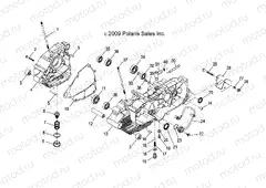 ENGINE | ENGINE, CRANKCASE - A18YAP20A8/N8 (49ATVCRANKCASE10PHX)