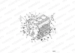 ENGINE | ENGINE, CRANKCASE - D20BBPD4B4/APD4B4 (702591}