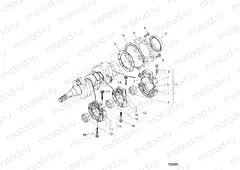 ENGINE | ENGINE, MAIN BEARING CASE - D20BBPD4B4/APD4B4 (702600)