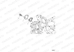ENGINE | ENGINE, REAR GEARCASE COVER - D20BBPD4B4/APD4B4 (702612)