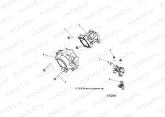 ENGINE | ENGINE, THROTTLE BODY and FUEL RAIL - A17SEA57N1/EE57N1/NL