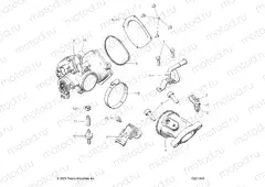 ENGINE | ENGINE, THROTTLE BODY and FUEL RAIL - A22SEE50A1/A5 (C0211645)