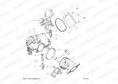 ENGINE | ENGINE, THROTTLE BODY and FUEL RAIL - A22SJE57AX (C0211647)