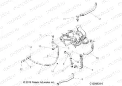 ENGINE | ENGINE, TURBO, COOLING AND OIL - Z21R4F92AH/BH (C1205828-6)