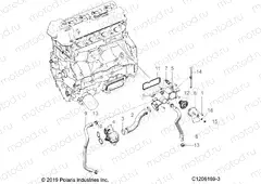 ENGINE | ENGINE, WATER PUMP AND RELATED - T21AAPHD/RHB/SHD/THD ALL OPTIONS (C1206169-3)