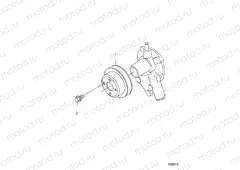ENGINE | ENGINE, WATER PUMP PULLEY - D20BBPD4B4/APD4B4 (702615)
