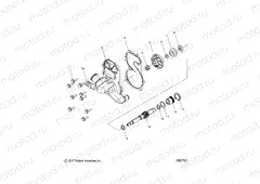 ENGINE | ENGINE, WATER PUMP - S20DDL8PS ALL OPTIONS (600763)