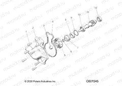ENGINE | ENGINE, WATER PUMP - S22TDL8RS/8RE ALL OPTIONS (C601545)