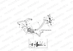 ENGINE | ENGINE, WATERPUMP AND BYPASS - Z15VDE99FV (49RGRWATERPUMP14RZR1000)