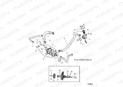 ENGINE | ENGINE, WATERPUMP AND BYPASS - Z15VFE99AT/AV/AP (700082)