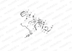 Engine Management
