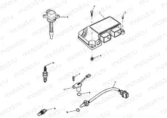 Engine Management System