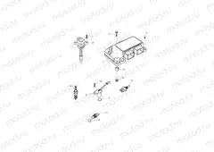 Engine Management System