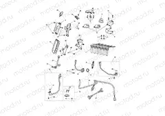 Engine Management System