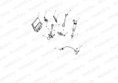 Engine Management System