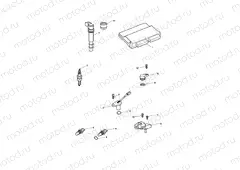 Engine Management System
