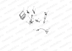 Engine Management System