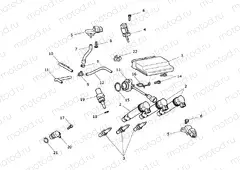 Engine Management System