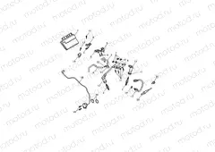 Engine Management System