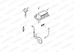 Engine Management System 89737 »