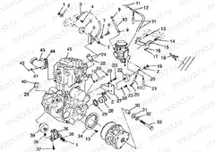 ENGINE MOUNTING Magnum 2X4 W98AA42A (4945524552A008) | ENGINE MOUNTING Magnum 2X4 W98AA42A (4945524552A008)