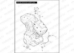 ENGINE SENSORS & SWITCHES
